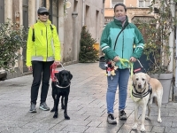 « Mon ange gardien » : quand un chien guide change la vie d’Isabelle