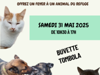 Adopter, c’est réparer – Journée spéciale adoption au refuge de Gueugnon