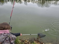 Les jeunes se sont adonnés à la pêche à la truite sur l'étang de la Gaule à Champforgeuil ce jour d’ouverture 14 mars.