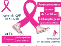  "Les Lézards au soleil" et la Municipalité de Champforgeuil organisent une Rando Rose dimanche 19 octobre à partir de 8h00