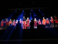 C’était du grand spectacle samedi soir 4 mai au concert "AMC chante Pagny/Abba/Queen" de l’association "Accordéons, Musiques et Chants" de Châtenoy le Royal.