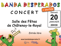 Samedi 20 janvier à 20h30 à la salle des fêtes de Châtenoy le Royal, Concert de la Banda Desperados