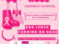 La marche rose à Châtenoy le Royal , c'est mercredi 15 octobre 13h30 place du CCAS