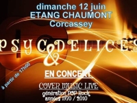 Psyc&Delices, groupe de musique donne un concert Pop Rock dimanche 12 juin à 17h00 à l'étang Chaumont de Châtenoy le Royal