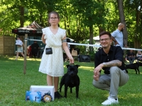 Le coup de cœur d'Info Chalon - Ines 9 ans : de nombreux palmarès à son actif pour cette passionnée par les expositions canines et présentations de Staffordshires Bull Terrier.