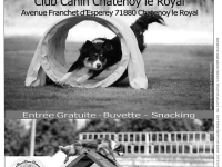 Club canin Châtenoy le Royal : Concours d'Agility dimanche 29 septembre à partir de 8h00