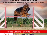 Châtenoy le Royal : le club canin organise son concours d'agility le 28 septembre 2025 sur le terrain du club