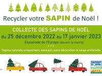 Recyclage des sapins de Noël, Châtenoy le Royal met en place un point de collecte