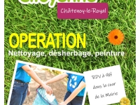 Opération nettoyage, désherbage, peinture pour la journée citoyenne du samedi 13 mai à Châtenoy le Royal.