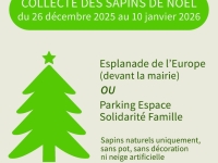 Châtenoy le Royal : Collecte des sapins du 26 décembre 2025 au  10 janvier 2026