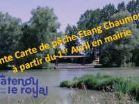 Châtenoy le Royal : Vente des cartes de pêche en mairie à compter du 1er avril 