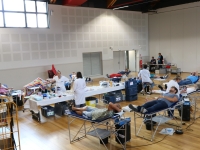 Une collecte de sang moyenne à St Rémy ce 29 août 2023 avec seulement 56 donneurs présentés.