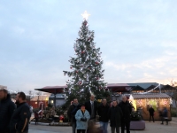 A Saint Rémy, le grand sapin place de la mairie a revêtu son habit de lumière pour fêter Noël.