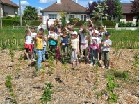 Les élèves de l’école Lucie Aubrac en séance d’entretien de la forêt urbaine de Taisey à Saint Rémy.