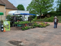 Les Floralies à Saint Désert organisé par l'association "St Désert / La Gouesnière" ont une fois de plus rencontré un franc succès.