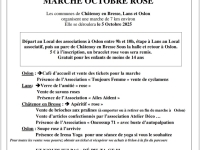Marche octobre rose Lans-Chatenoy-Oslon ce dimanche : tout le programme avec info Chalon 