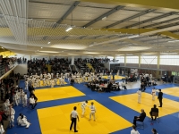 Tournoi open Benjamins et Minimes de Judo : une véritable fourmilière au dojo Nowak ce dimanche 