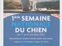 Gigny sur Saône : le club canin organise un concours d’obéissance ce dimanche 1er octobre 