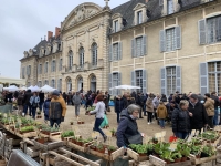 EDITION 2023 - Foire aux plantes de la Ferté : les visiteurs en ébullition 