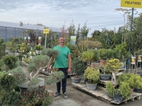 3 Offres immanquables chez Nicolas Bailly Horticulteur à Saint-Marcel