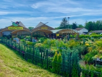 Ne ratez pas les SOLDES chez Nicolas Bailly Horticulteur !