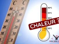 Vous êtes élus du CSE ? Alors ceci vous intéresse !