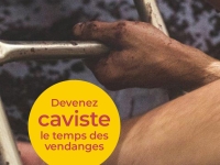 La Cave Des Vignerons De Buxy Recrute 