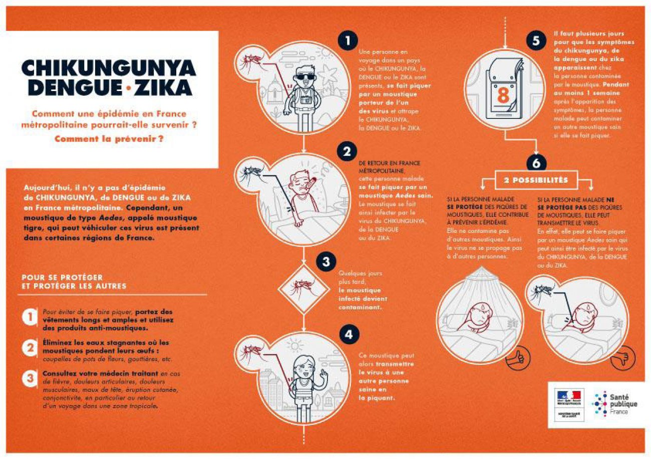 Zika, dengue… Ces virus portés par les moustiques tigres dont il