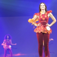 Election de Miss Bourgogne à Chalon-sur-Saône dimanche 21 septembre. 