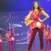 Election de Miss Bourgogne à Chalon-sur-Saône dimanche 21 septembre. 