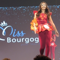 Election de Miss Bourgogne à Chalon-sur-Saône dimanche 21 septembre. 