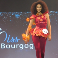Election de Miss Bourgogne à Chalon-sur-Saône dimanche 21 septembre. 