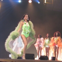 Election de Miss Bourgogne à Chalon-sur-Saône dimanche 21 septembre.