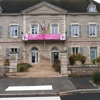 Ouroux-sur-Saône : Les chiens étaient les bienvenus à octobre rose 