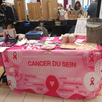 Ouroux-sur-Saône : Les chiens étaient les bienvenus à octobre rose 