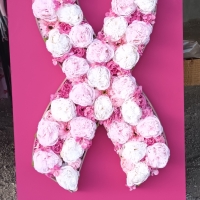 Saint-Germain-Du-Plain: 80 marcheurs ont participé à la marche nocturne pour octobre rose ce samedi 18 octobre