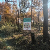Saint Germain-du-Plain : Inauguration de la seconde parcelle "1 enfant 1 arbre"