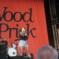Sennecey-le-Grand : Matmatah et Lilly Wood and the Prick ont mis le feu le 1er soir du Festival du Clos des Tourelles