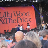Sennecey-le-Grand : Matmatah et Lilly Wood and the Prick ont mis le feu le 1er soir du Festival du Clos des Tourelles