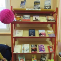 Saint Christophe-en-Bresse : Les bénévoles ont décoré la bibliothèque aux couleurs d'octobre rose