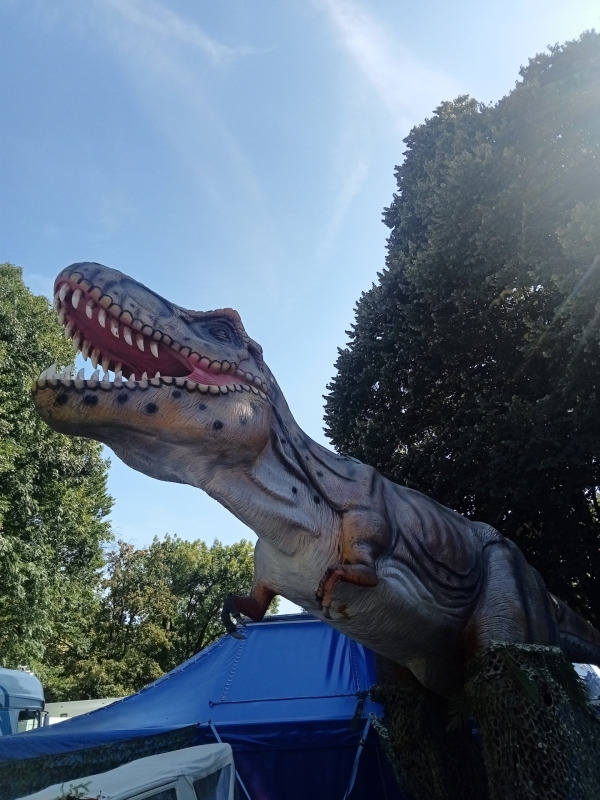 Jurassic shark arrive à Chalon sur Saône ce week-end 