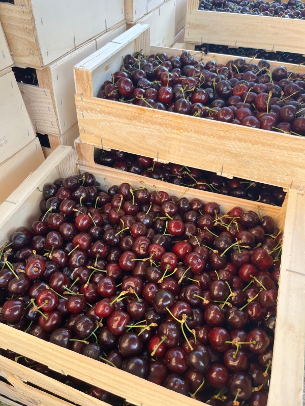 L'association RécréActions organise une dernière vente de cerises.