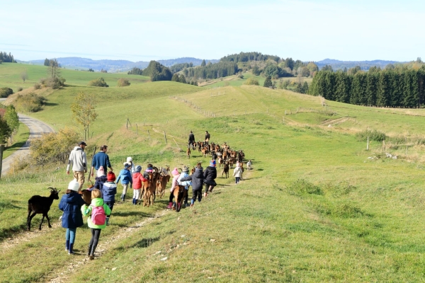 Les élèves de CP et CP-CE1 de l'école de la Citadelle à Chalon sur Saône ont besoin de vous pour réaliser leur projet de séjour classe verte, musique en nature et activités en ferme pédagogique