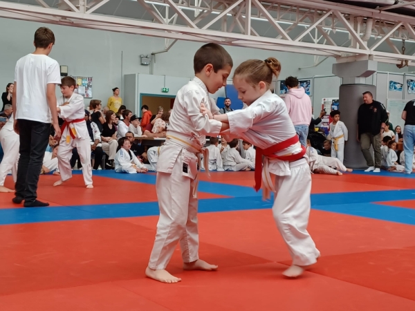 JUDO CLUB CHALONNAIS - Une centaine de Pré-Poussins pour un interclubs réussi !