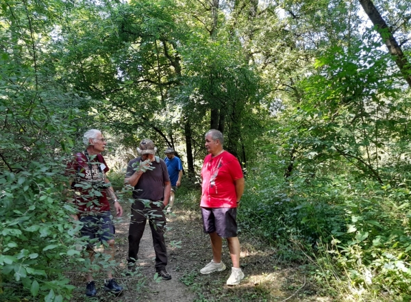 Dernière sortie Botanique ouverte à tous, de la Société des Sciences Naturelles et Mycologique de Chalon sur Saône.