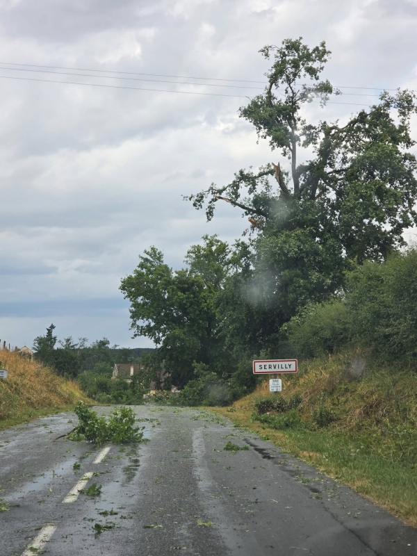 Prudence sur les routes ! Entre l'Allier et la Saône et Loire, de très nombreuses routes jonchées d'arbres et de branches 