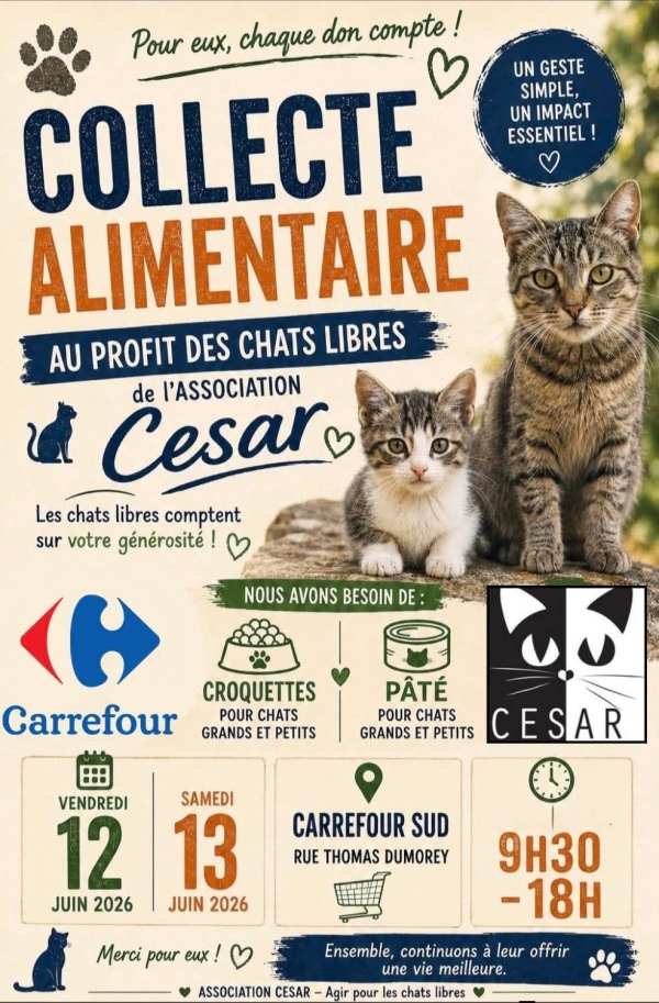 L'association César organise sa collecte alimentaire 