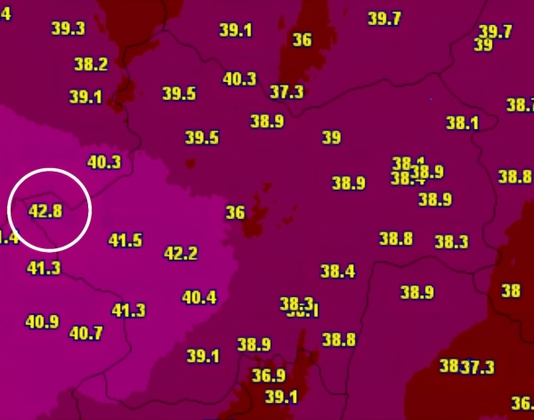 CANICULE - On a frôlé le 43°c ce 26 juin en Saône et Loire - Partout les records sont tombés 