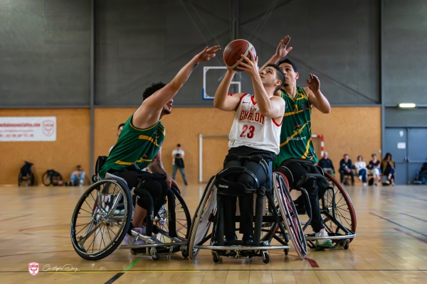 BASKET FAUTEUIL - Du travail bien fait pour l'Elan Chalon qui s'impose sans discuter face à Lannion 