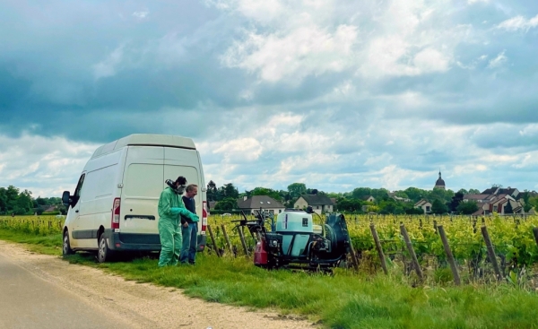 Les viticulteurs revendiquent leurs progrès environnementaux avant la publication ce lundi des résultats